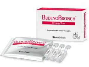 ps-budenobronch05